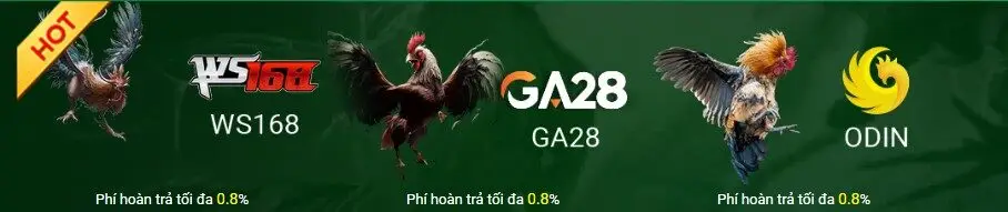 Các sảnh đá gà tk88