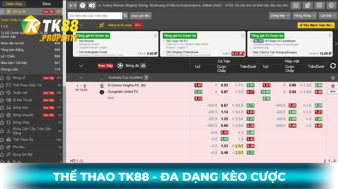 Thể thao tk88 đa dạng kèo cược